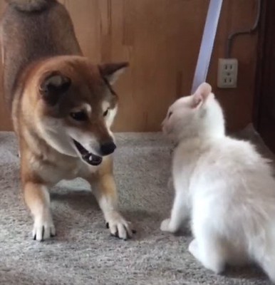 楽しいときももちろん一緒