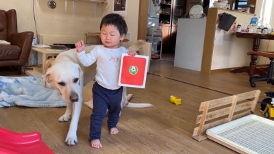 女の子にまとわりつくサンちゃん