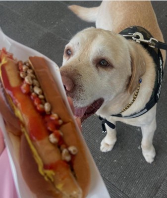 今ではこんなに幸せ犬に！！