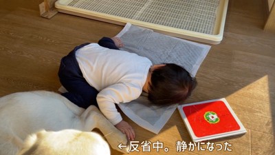 サンちゃんは反省中
