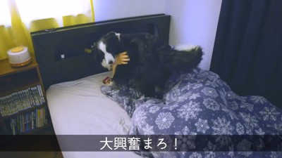 「起きて～！」と大暴れ
