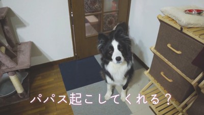 「パパを起こして」と言ったら…