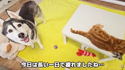 そばにいて看病する気満々！