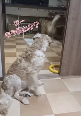 「つまんないっ」
