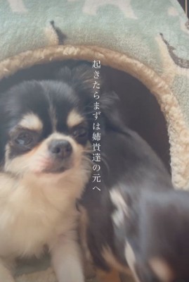 朝一番に姉妹の元へ