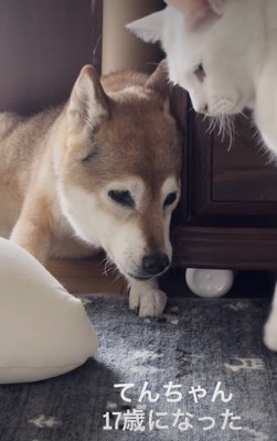 できないことが増えた
