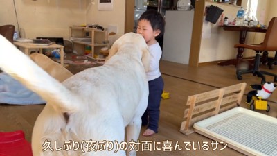 「おはよう」のご挨拶中♪