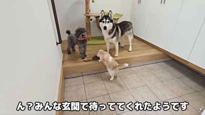 待っていてくれました！