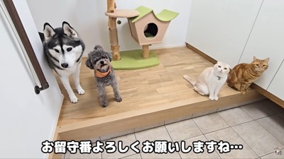 「いい子で待ってるね！」「頑張れ～！」