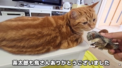 それぞれに「ありがとう」を伝えます