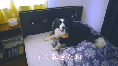 パパさんに会えて嬉しそう♪