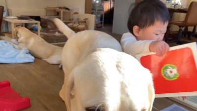 グイッと押したら…