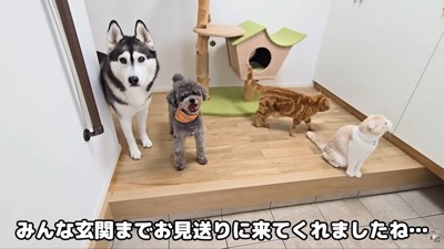 みんなでお見送り