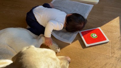 お手々をニギニギ…