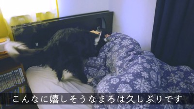 しっぽを振りながらスリスリ♡