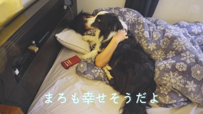 まろ君も一緒に寝る気満々！？