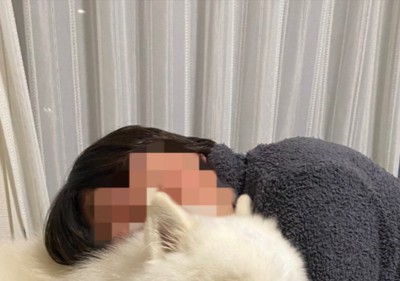 パパ