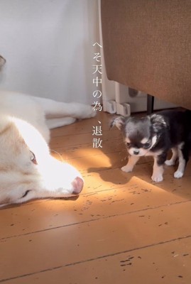 「今はやめとこ…」