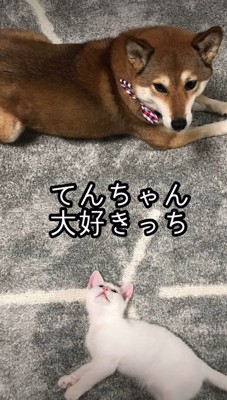 てんちゃんを親のように慕う