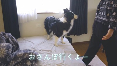 「もっと一緒にゴロゴロしたかったな～」