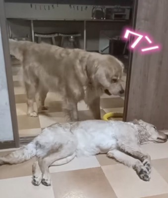 「どいてー！」