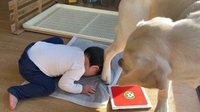 転んでしまいました！