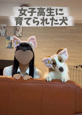 イギーちゃんの相棒は…