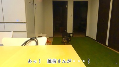 バレてしまいました！