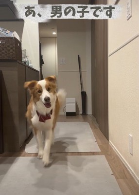 実は男の子とのこと！！
