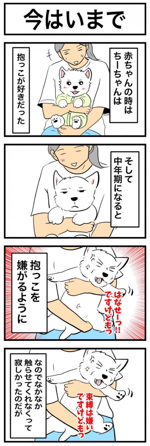 ちーちゃんですけどもっ【第368話】 1
