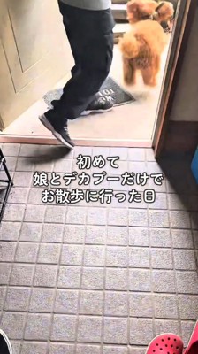 玄関を出て行く犬と女の子
