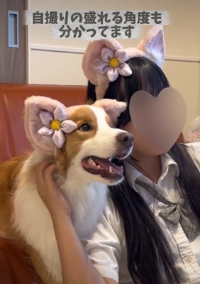 本当の女子高生のよう