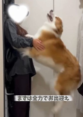 全身を使って大歓迎！！