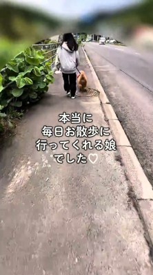 犬を散歩させる女の子の後ろ姿