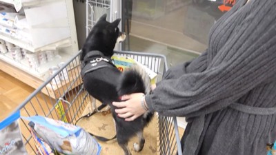 震え始めました！