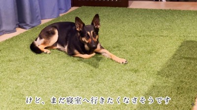なかなか寝ようとしない維桜ちゃん