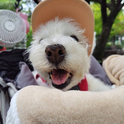 ちーちゃん