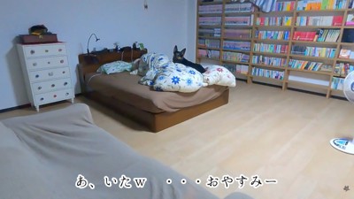おやすみなさい♪