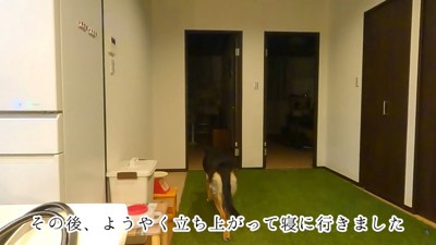 ようやく寝室へ移動