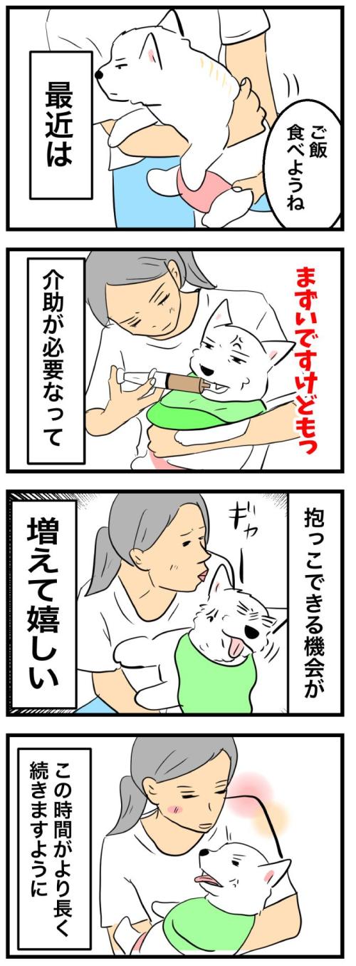 ちーちゃんですけどもっ【第368話】 2