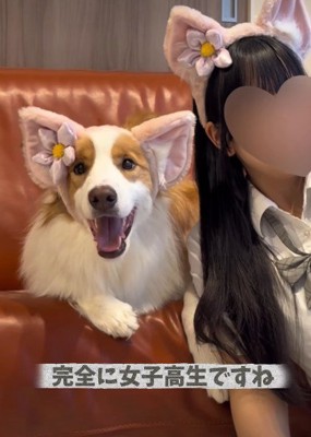 女子力高めだけれど…