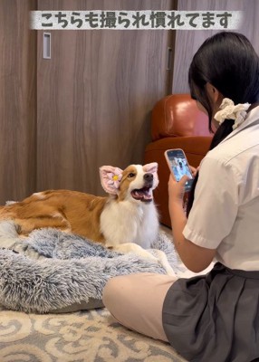 カメラ目線もお手の物！！