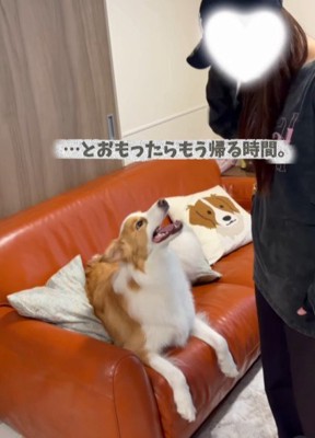 健気な姿にほっこり