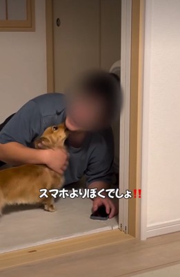 見つめる犬