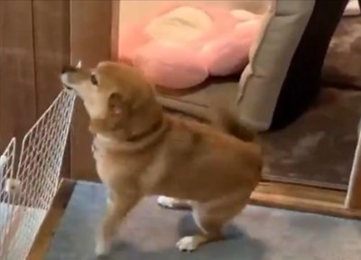 嬉しさ爆発