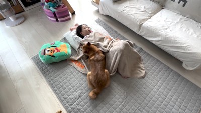 寄り添って看病してくれています