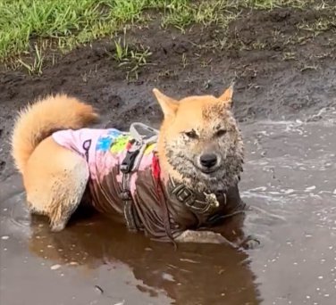 お顔