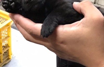 出会った