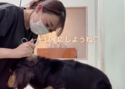「頑張らなきゃ」
