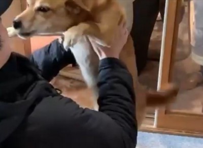 ハグ